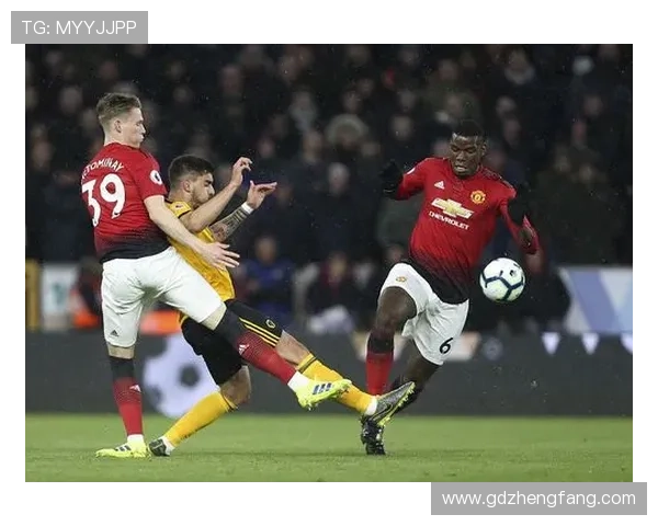 狼队崛起之路：年轻核心与战术革新驱动明日之星的腾飞