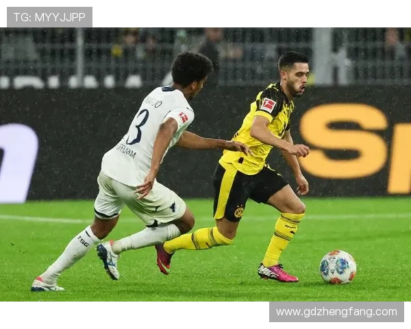 霍芬海姆1899俱乐部发展历程与足球文化探析